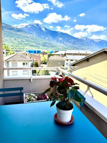a potted plant sitting on a table on a balcony at Nido tra monti in Sondrio