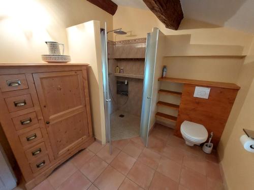 une salle de bain avec douche et toilettes dans l'établissement Ancien Mas viticole à 10 min de Narbonne, à Bizanet