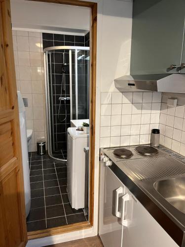 a small kitchen with a sink and a shower at Leilighet i Lillehammer med gratis parkering in Lillehammer