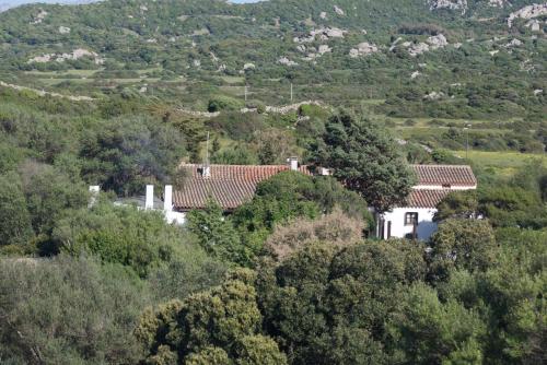 dom na szczycie wzgórza z drzewami w obiekcie Casa Saltara w mieście Santa Teresa Gallura