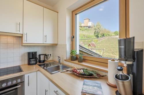a kitchen with a sink and a window with a view at Egarter in Appiano sulla Strada del Vino