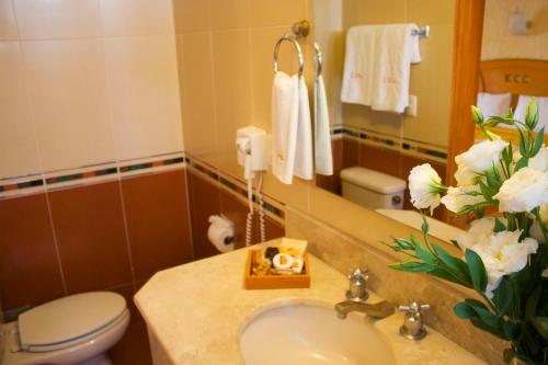 uma casa de banho com um lavatório, um WC e um espelho. em Hotel Puerta Del Sol Guadalajara em Guadalajara