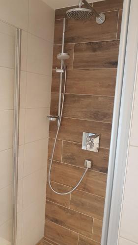 a shower in a bathroom with a wooden wall at Spreewaldferienhaus Kupa in Burg