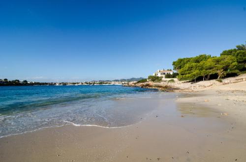 a beach with the ocean and trees in the background at Es Rafal Nostro in Felanitx