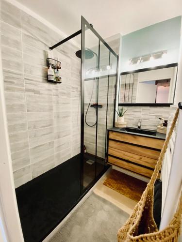 une salle de bain avec douche et lavabo dans l'établissement Joli appartement cosy , terrasse, PK privé, à Lunel