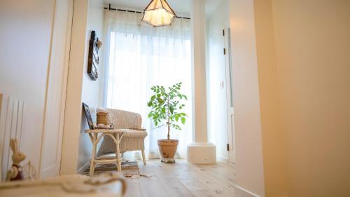 a hallway with a chair and a plant in front of a window at Hello jeje Guesthouse in Jeonju