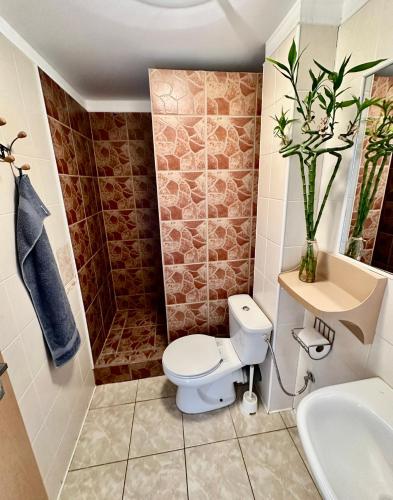 a bathroom with a toilet and a sink at Bamboo Rooms - Studios in Štúrovo