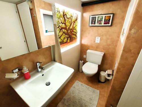 a bathroom with a sink and a toilet and a mirror at Nisihof, Buurenzimmer Family or Single in Oberkirch