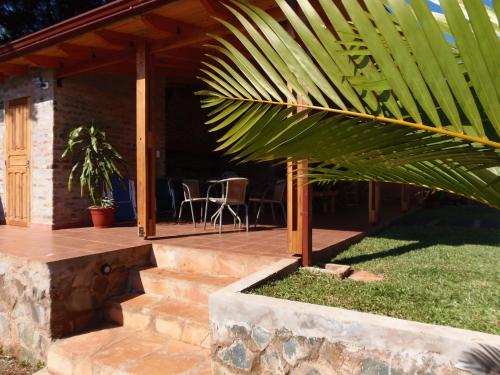 a large palm tree sitting on a patio at Cabañas Doralia in Oberá