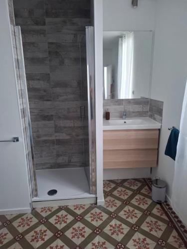 une salle de bain avec douche et lavabo dans l'établissement Le T2 Wilson, à Carcassonne