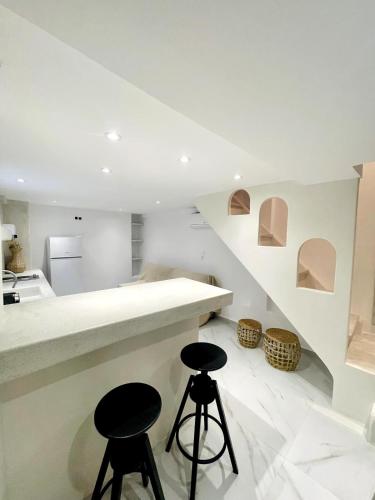 2-bedroom LOFT apartment