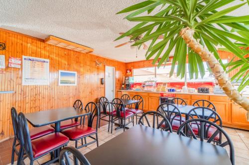 Η κουζίνα ή μικρή κουζίνα στο Lone Star Inn by OYO Vernon Texas Hwy 287
