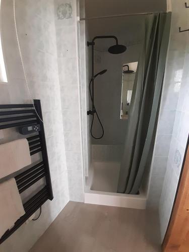 une salle de bain avec une douche avec un rideau de douche dans l'établissement Le Petit Gîte de la gare, à Saint-Pompain