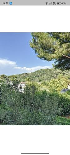 Super 3 pièces cannes photo 9