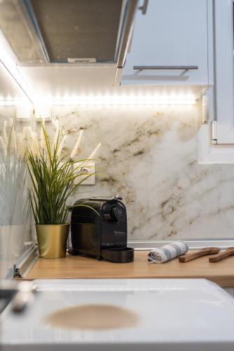 a toaster sitting on a counter next to a plant at Houseloft White Tower Icon in Thessaloniki