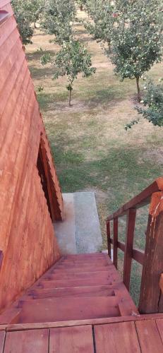 a wooden ramp leading to a field with trees at Salaš Farma 47-Miris Dunja in Čenej