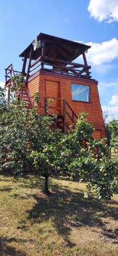 a house with an apple tree in front of it at Salaš Farma 47-Miris Dunja in Čenej