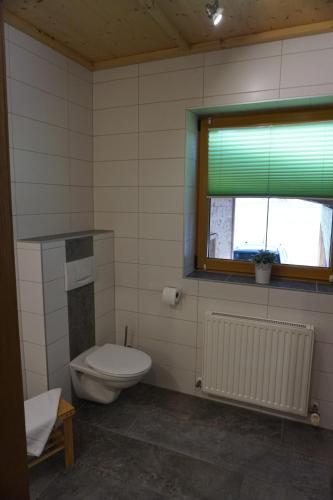 a bathroom with a toilet and a window at Ferienwohnungen Bauernhof Andreas Kleiner in Tannheim