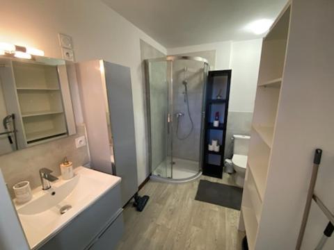 une salle de bain avec douche et lavabo dans l'établissement Studio proche du Futuroscope, à Chasseneuil du poitou, à Chasseneuil-du-Poitou