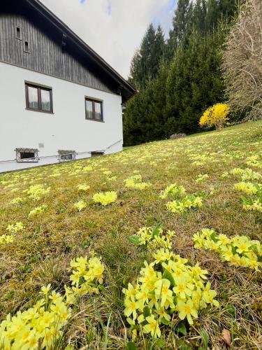 a field of yellow flowers in front of a house at Forestside Raceway Hideaway in Oberweg