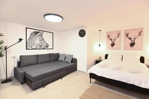 a living room with a couch and a bed at Studio Hagalil in Tiberias