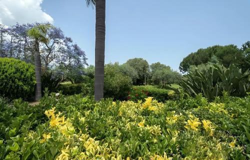 Κήπος έξω από το Villa Viola e Giulio