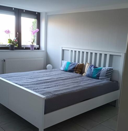a bedroom with a large bed with blue sheets and pillows at Rengerter Oase in Neunkirchen-Seelscheid