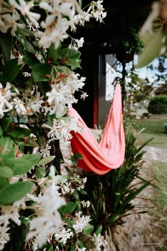 a red umbrella hanging from a tree with white flowers at Evans Head Beach House - Entertainer in Evans Head