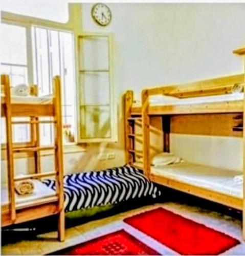 a room with two bunk beds and a zebra rug at וילה ביפו קרוב לנמל יפו והעיר העתיקה in Tel Aviv