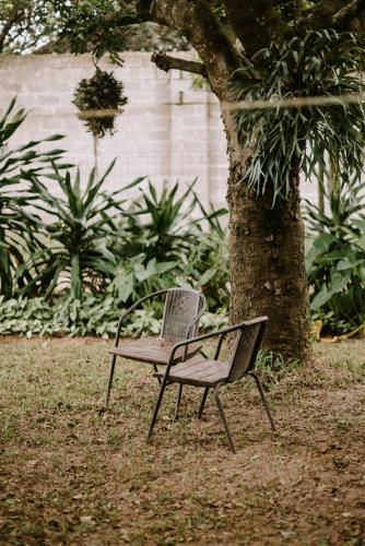 a bench sitting next to a tree in a yard at Cabins Sodwana Bay - antibootika in Sodwana Bay