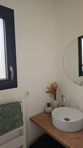 une salle de bain avec un lavabo blanc et un miroir dans l'établissement Chambre privée 350 m de la mer et proche et gr34 avec coin repas et micro onde, à Plouguerneau