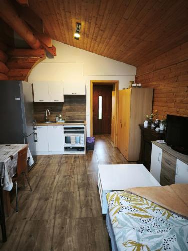 Zimmer mit Küche und Esszimmer in der Unterkunft Apartmán Harmonie Černá Voda in Černá Voda