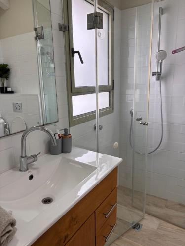 a bathroom with a sink and a shower at ברקו בעמק in Bet HaShitta
