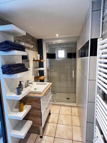 une salle de bain avec un lavabo et une douche dans l'établissement Small house with garden, à La Celle-sous-Gouzon