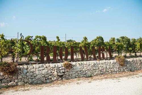 a stone wall with a fence and vines at Riofavara Winery in Val di Noto in Ispica