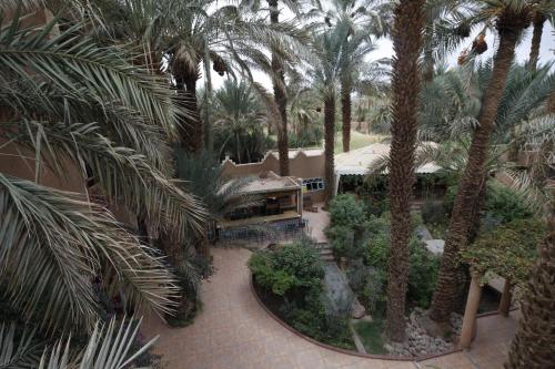 an overhead view of a courtyard with palm trees at Fibule Du Draa Kasbah D'hôtes in Zagora