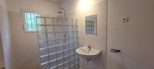 une salle de bain avec un lavabo et un miroir dans l'établissement Famille et nature aux portes du Luberon, à Apt