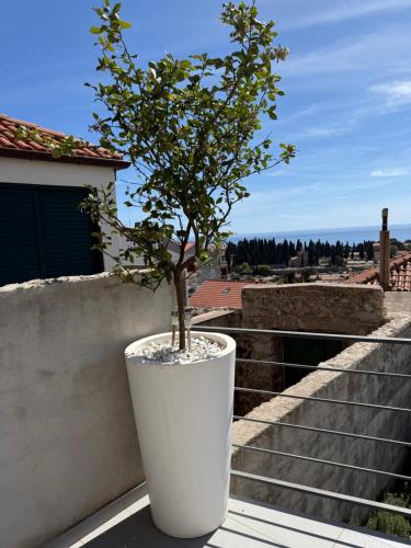 Lemon Tree Dubrovnik Apartments