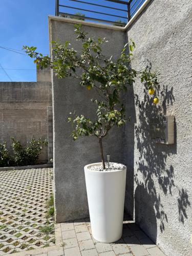 Lemon Tree Dubrovnik Apartments