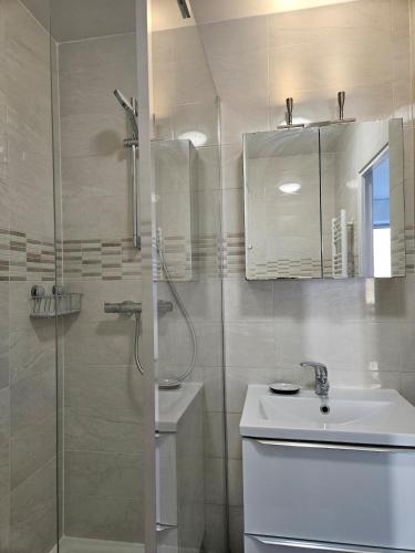 une salle de bain avec douche et lavabo dans l'établissement Julie's House Paris 20, à Paris