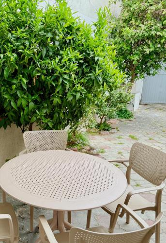 Κήπος έξω από το Orange Tree House