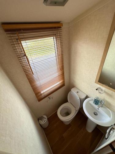 a small bathroom with a toilet and a sink at Swift Moselle 2 Bedroom Caravan Located in Uddingston, Glasgow at Maryville Caravan Site in Uddingston