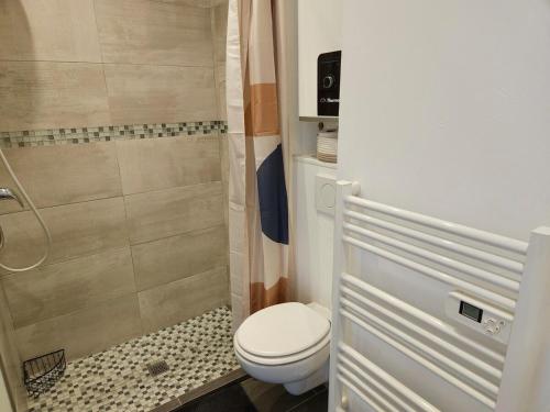 une salle de bain avec toilettes et douche dans l'établissement Beau studio, Le Lérins Centre Juan-les-Pins , 150m des plages, à Antibes