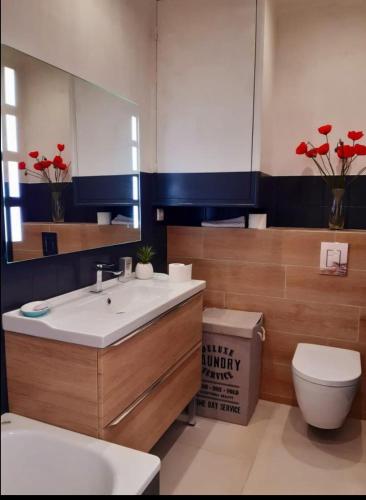 une salle de bain avec un lavabo, des toilettes et un miroir dans l'établissement Cannes centre avec parking et jardin, à Cannes