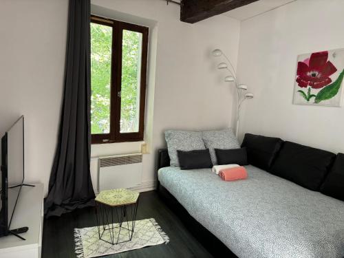 - un salon avec un canapé noir et une fenêtre dans l'établissement A 4 mn de Grenette Hypercentre, à Grenoble