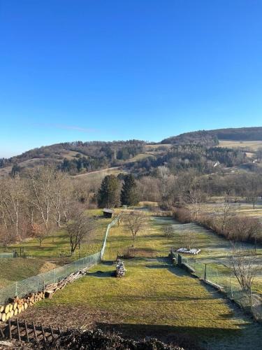 a herd of sheep grazing in a field next to a river at Chalet Wienerwald in Königstetten