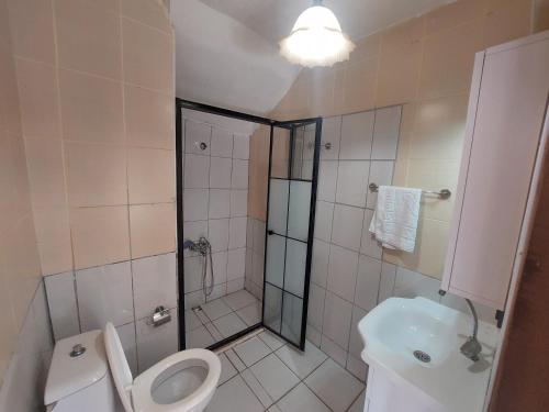 フェティエにあるRoom near Lykia Way Oludeniz Poolのシャワー、トイレ、洗面台を備えたバスルーム