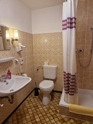 a bathroom with a toilet and a sink and a tub at Hotel & Apartmenthaus Zum Pfingsttor in Friedrichswald
