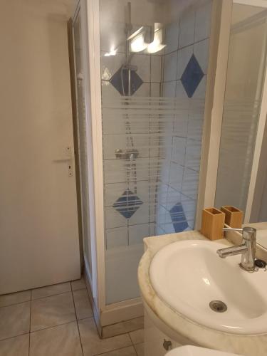 une salle de bain avec un lavabo et une douche dans l'établissement T2 La Treille avec extérieur non attenant, à Allauch