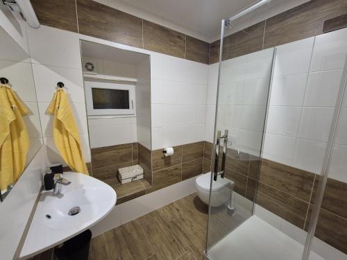 a bathroom with a shower and a sink and a toilet at U Hastrmana v pivovárku in Hroznětín